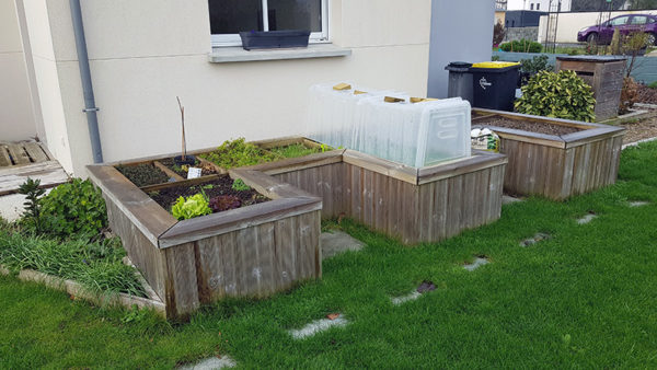 Bac potager surélevé